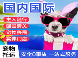丹霞国际宠物托运 【国
